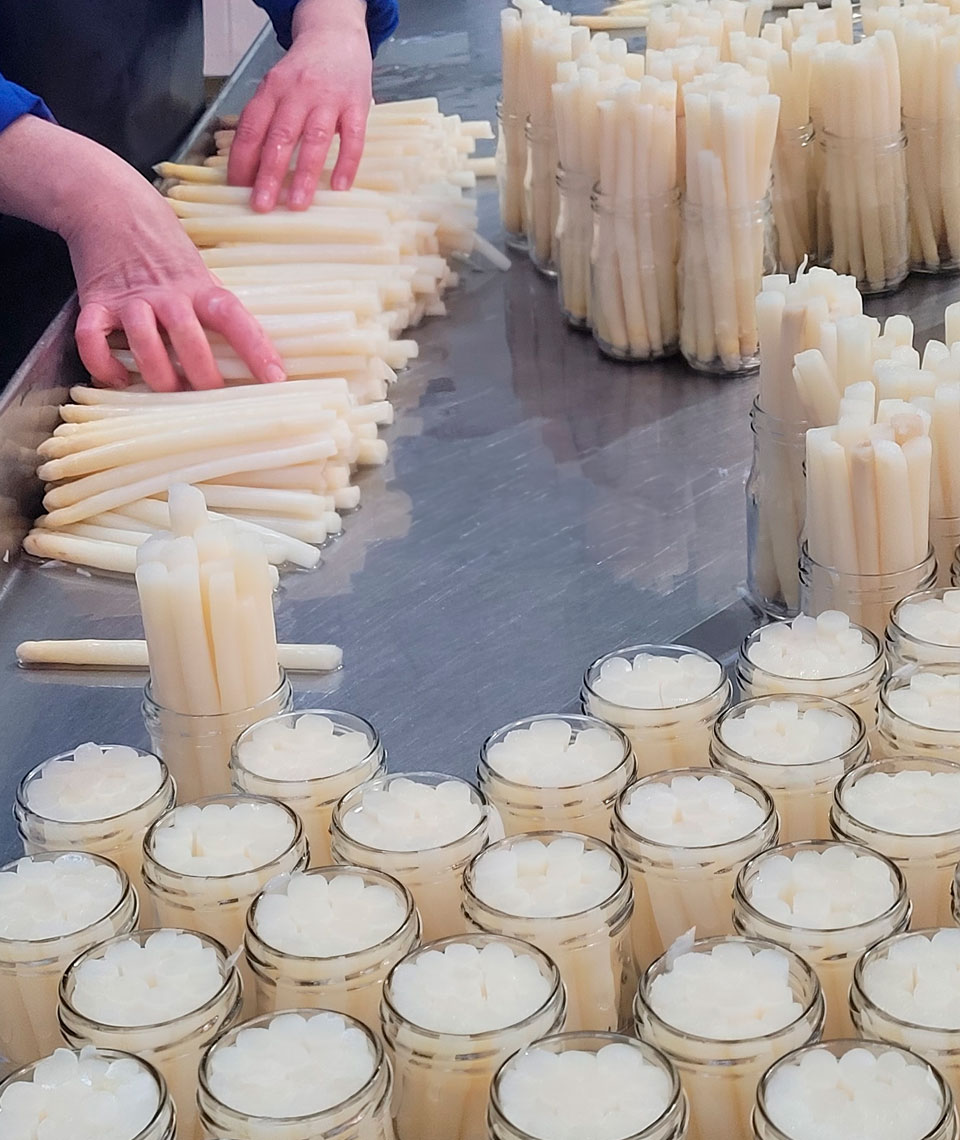 Proceso de elaboración de los espárragos