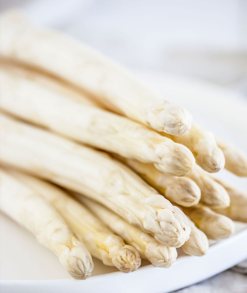 Pimiento del Piquillo de Navarra (D.O.)