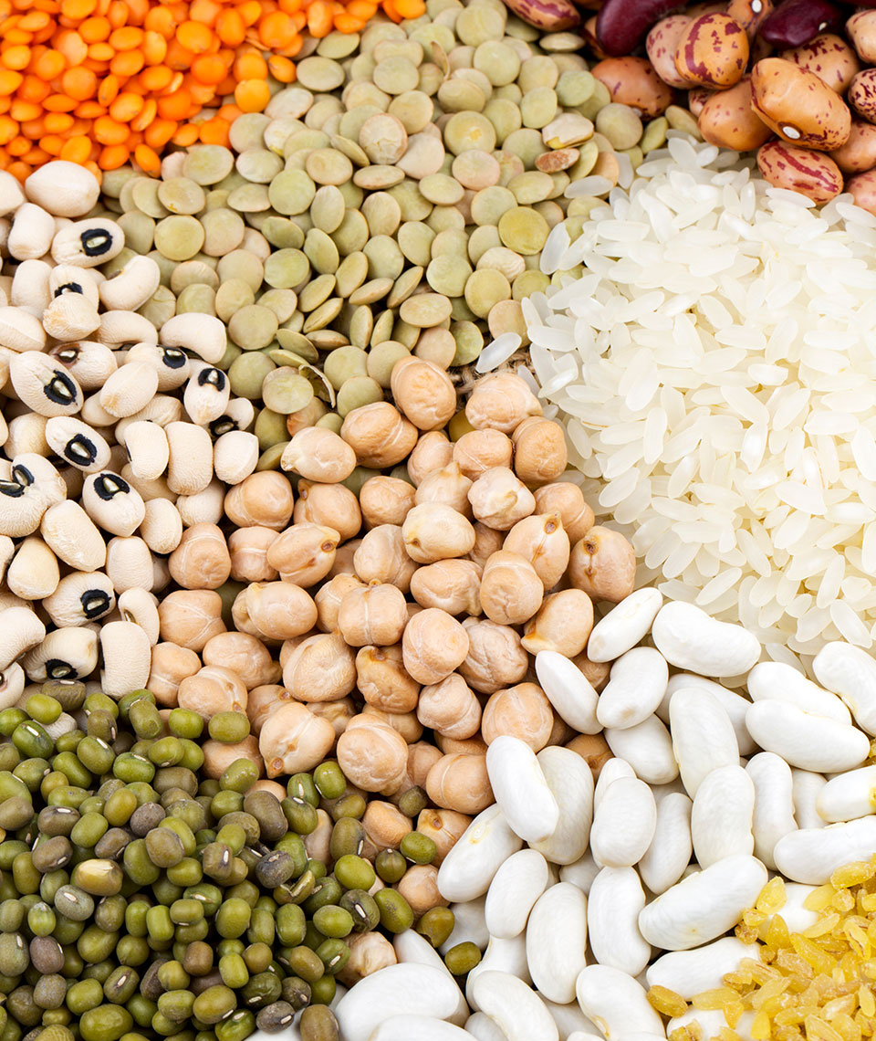 Pimiento del Piquillo de Navarra (D.O.)