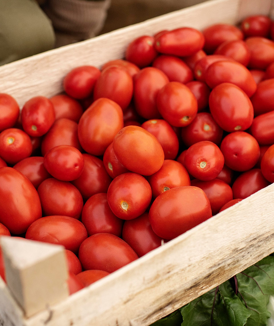Pimiento del Piquillo de Navarra (D.O.)